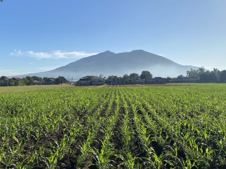 11 Best Day Trips from Angeles City and Clark: Local Guide